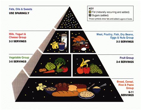 Myplate Vs Mypyramid Do You Know The Difference Create Better Health