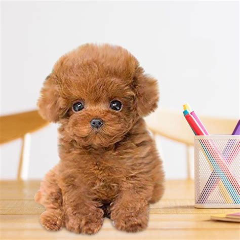 Stuffed Toy Real Dogs