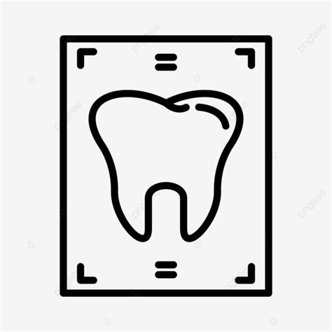 Dental X Ray Line Icon Vector Dental Dental Records Dentist Png And