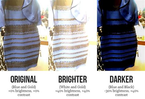 The Science Of How We See Color