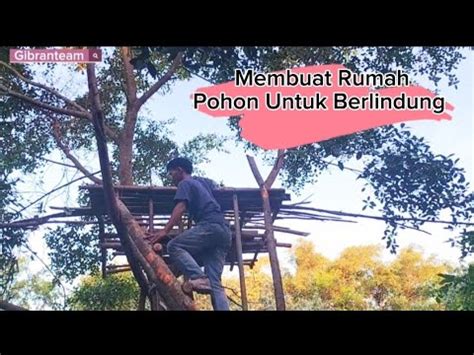 Survival Di Alam Skills Membangun Rumah Pohon Untuk Keberlangsungan