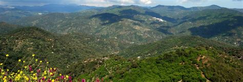 Tour en bicicleta eléctrica por los montes de Marbella Tourse