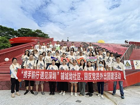 平湖党建引领青春建功项目为高质量发展凝新聚力 街道动态 龙岗政府在线