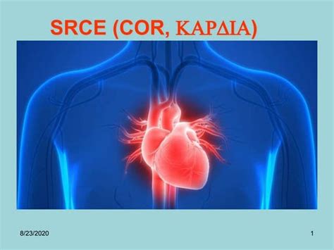 Srce