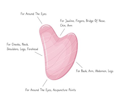 Infographie De L Utilisation De L Outil De Massage Par Grattage Gua Sha