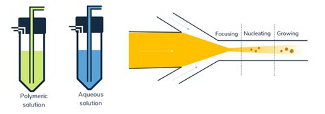 Preparation Of Plga Nanoparticles By Flow Focusing Elveflow