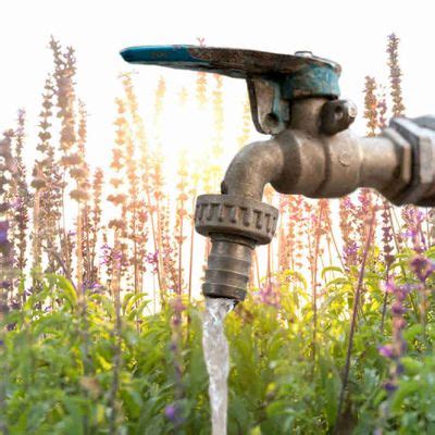 El Programa Agua Y Bienestar Para Mi Vereda Es Una Realidad