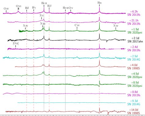 Comparison Of Early Phase Spectra Of SN 2020pni With Those Of SNe 1998S