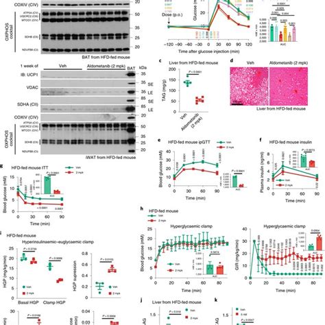 Aldometanib Is Accumulated In The Lysosome Ac Aldometanib Activates