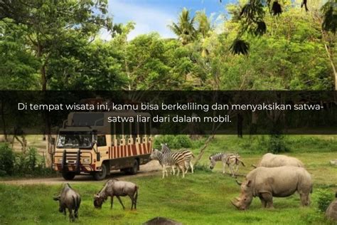 Quiz Jangan Ngaku Orang Bogor Kalau Gak Tahu Nama Destinasi Wisata Ini