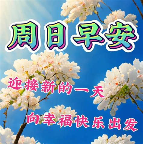 周日早上好，温馨暖心早安祝福图片语问候语 哔哩哔哩