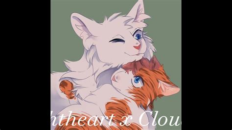 The Best Warrior Cats Ships Amazing Youtube