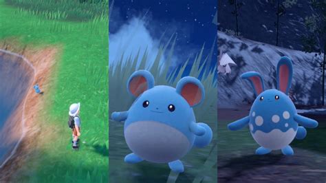 How To Show Azumarill Belly Drum Gaming Novelties