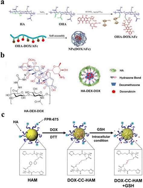 Dynamic Covalent Crosslinked Hyaluronic Acid Hydrogels And