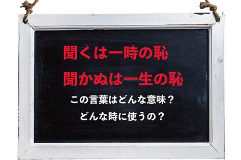 「聞くは一時の恥聞かぬは一生の恥」とはどんな意味の言葉？どんな時に使うの？