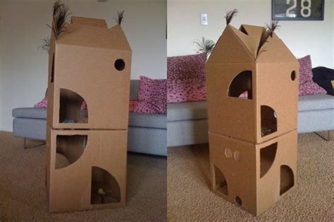 Diy Cardboard Box Homes And Towers For Cats Purrfect Love