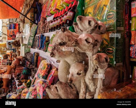 El mercado de las brujas La Paz Bolivia Fotografía de stock Alamy