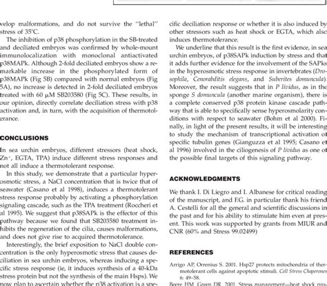 Inhibition of mitogen-activated protein kinase (p38MAPk) by SB203580 ... 