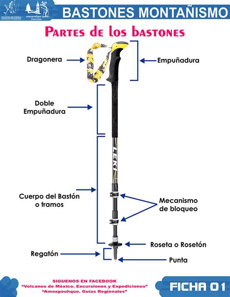 Continuaci N Flaco Robo Partes Del Baston Distribuir Evacuaci N Pegar