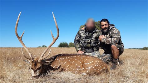 Trophy Chital Stag Hunt Or Meat Hunt Water Valley Hunting Trips