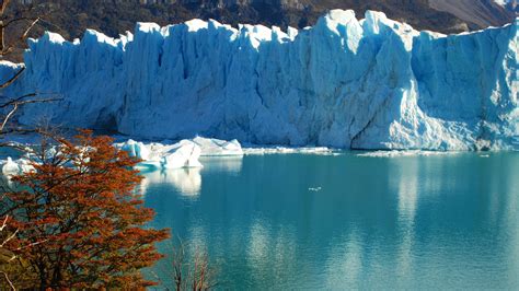 Qué Hacer En Calafate En Otoño Viajando Por La Patagonia Argentina