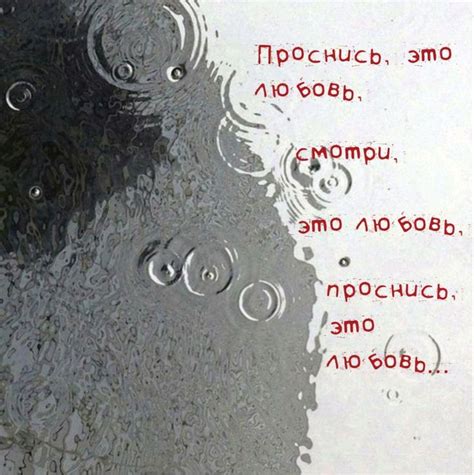 проснись, это любовь | Случайные цитаты, Надписи, Короткие высказывания