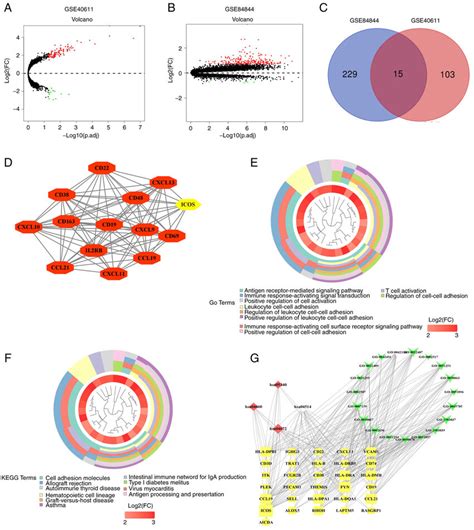 Identification Of Degs Involved In Icos Expression In Patients With