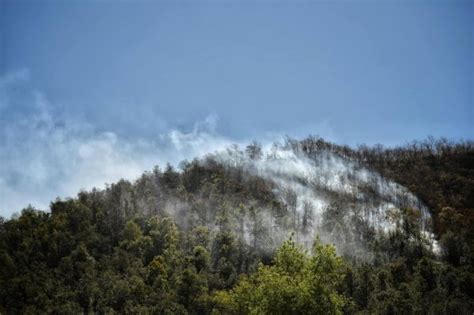 Qu Pasa En La Sierra De Santa Rosa En Guanajuato Incendio Ya Ha