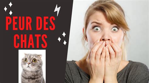 Pour Ne Plus Avoir Peur Des Chats Ou Ailurophobie Youtube