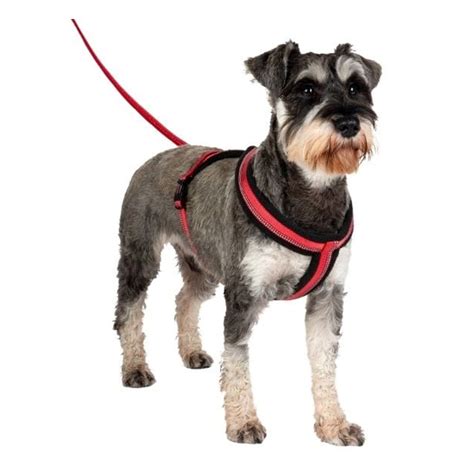 Buy Halti Comfy Harness Extra Small Red Online