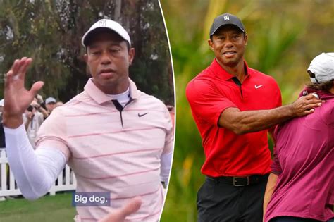 Tiger Woods ‘Big dog’ meme sends internet into viral frenzy – TechCodex