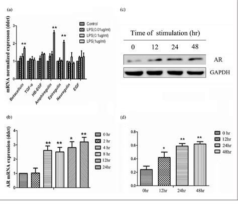 Figure 1 From Amphiregulin Induces Interleukin 8 Production And Cell