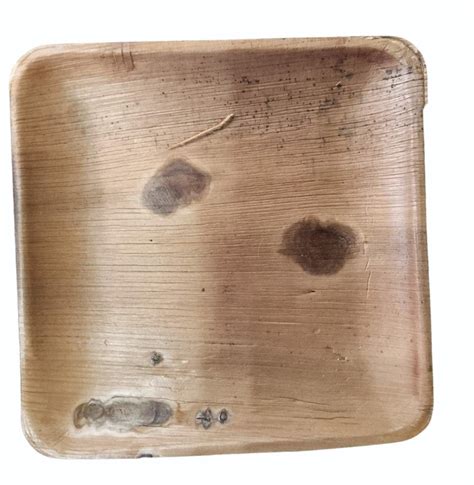 Inch Areca Leaf Square Plate At Piece Pakku Mattai Plate In