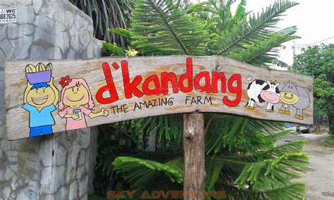 One Stop Edutainment Di Dkandang Amazing Farm Depok Outbound Lembang