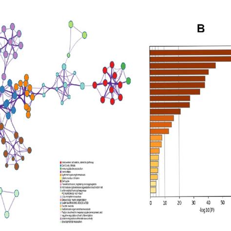 Gene Ontology Analysis Of Degs A Network Of Enriched Terms Colored