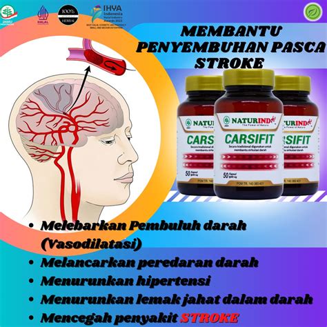 Jual Carsifit Obat Stroke Pasca Struk Strok Ringan Berat Jamu