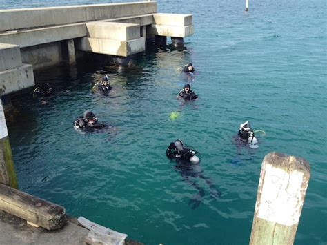 SDI Open Water Scuba Certification Boho Punk