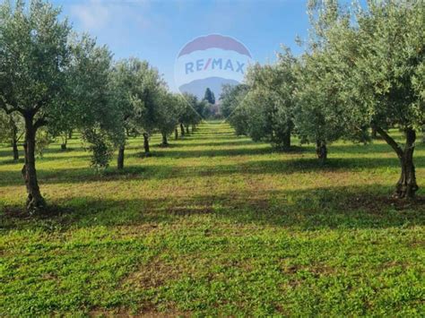 Terreno Agricolo Contrada Rigolizia Noto Rif 103354474 Immobiliare It