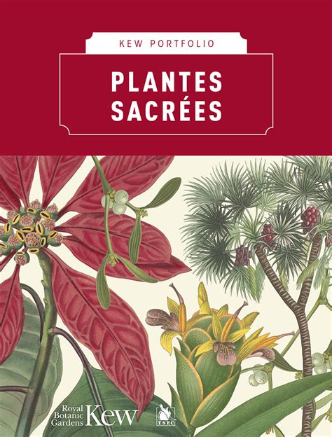 Plantes Sacr Es Royal Botanic Gardens Kew Ysec