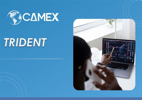 TRIDENT ONLINE CAMEX