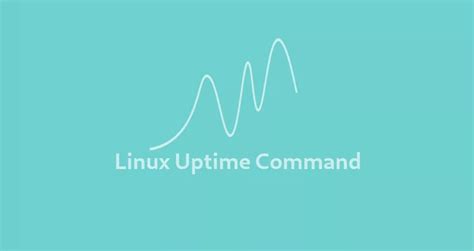 Linux Uptime正常运行时间命令