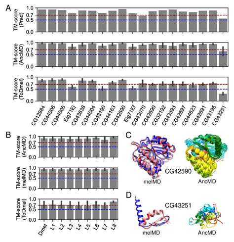 Structural Evolution Of 19 Potentially Well Folded De Novo Gene