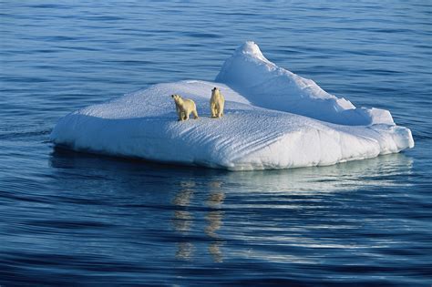 地球温暖化 ナショジオの画像・映像ストック ナショナル ジオグラフィックnational Geographic 日本版公式サイト