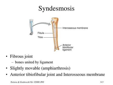 Ppt Chapter 9 Joints Powerpoint Presentation Free Download Id1703136