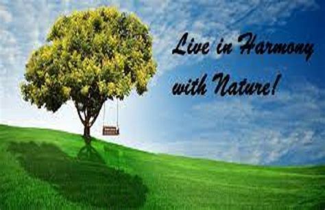 Living In Harmony With Nature The News Times