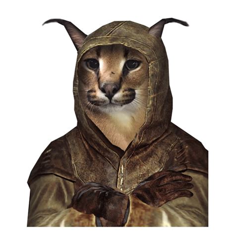 Khajiit Floppa Credit To Kinofabino Rbigfloppa