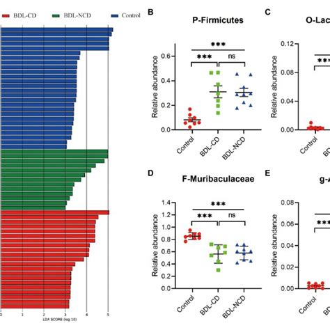 Differentially Abundant Bacterial Taxa Between The Control And Bdl