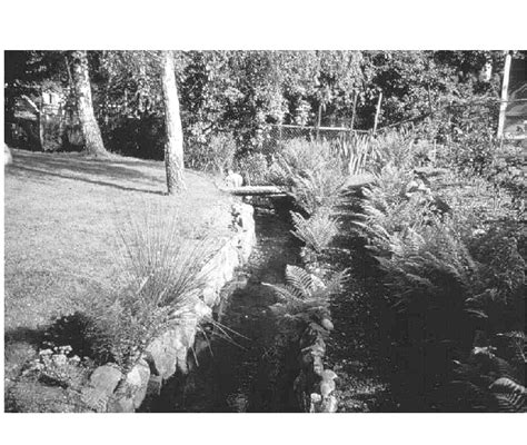 Backyard Stream Rock Banks Grass To Stream Edge Straightened Download Scientific Diagram