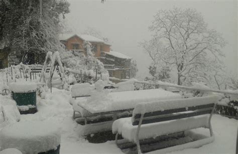 mussoorie-snowfall-3 - Himalayan Buzz