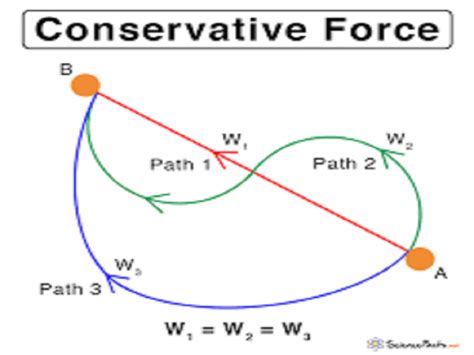 6 Conservative Force Examples In Real Life StudiousGuy